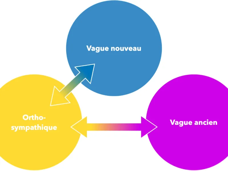 Système nerveux autonome vu par la Théorie Pmyvagale