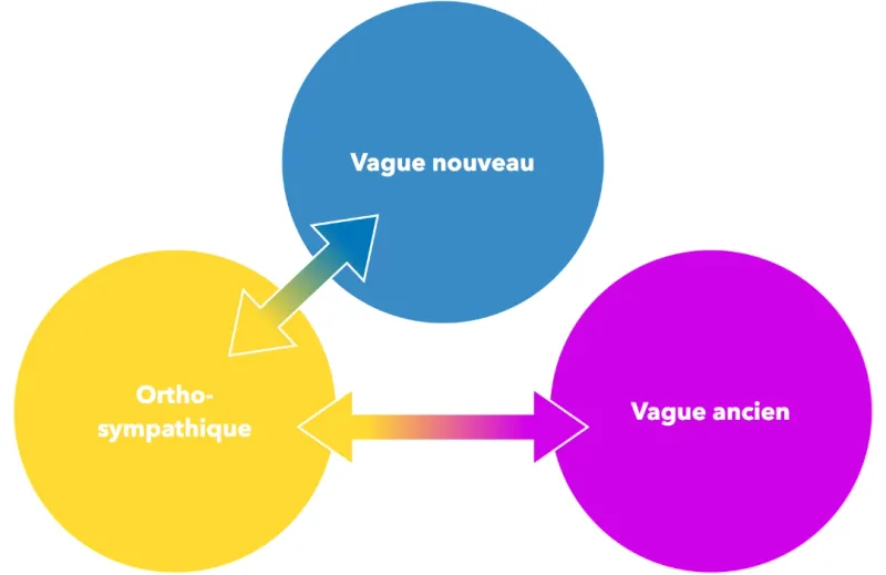 Système nerveux autonome vu par la Théorie Pmyvagale